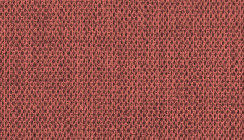 Congo Pink - Fabric Color Background
