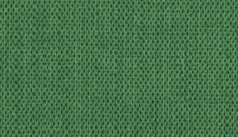 Iguana Green - Fabric Color Background