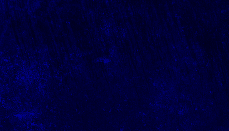 Duke Blue - Solid Color Background
