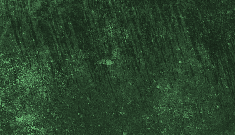 Iguana Green - Solid Color Background