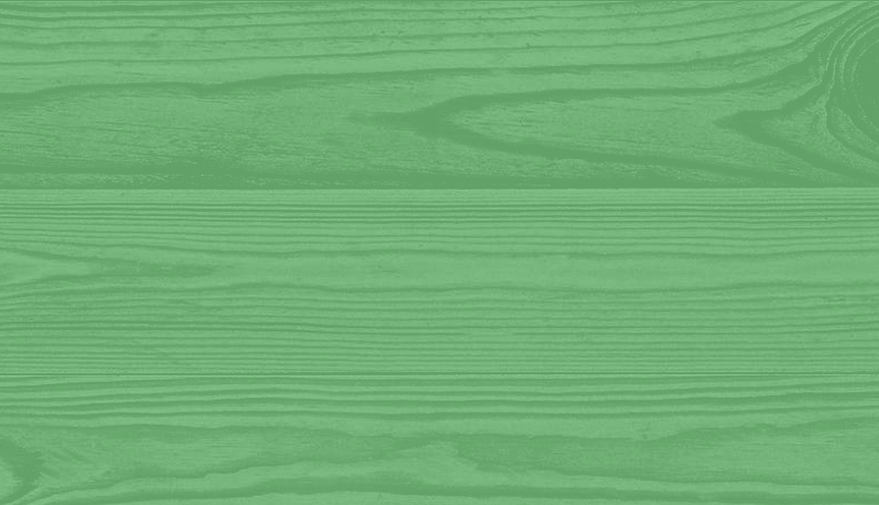 Iguana Green - Wooden Color Background